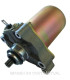 Motor Arranque 12V 0,30Kw