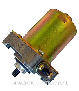 Motor Arranque 12V Shadow