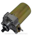 Motor Arranque 12V 0,30Kw
