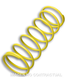 Muelle Polea Conducida Amarillo Foresight 250