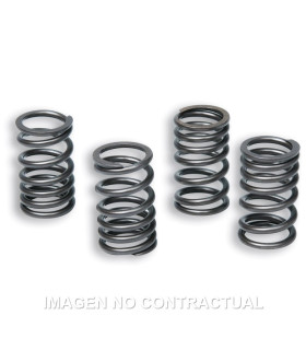 Muelles Embrague Original Motor AM6 TZR 50