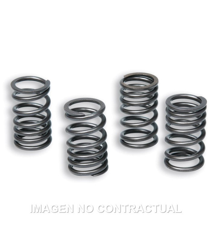 Muelles Embrague Original Motor AM6 TZR 50