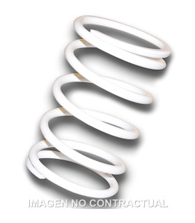 Muelle Polea Conducida Blanco Gilera GP 800