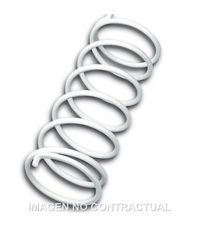 Muelle Polea Conducida Blanco Suzuki Burgman 125