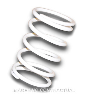 Muelle Polea Conducida blanco Suzuki Burgman 400 K10