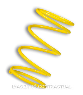 Muelle Polea Conducida amarillo Motor Leader