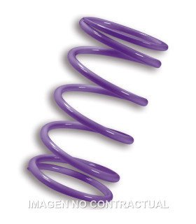 Muelle Polea Conducida Malossi Violeta Kymco AK550