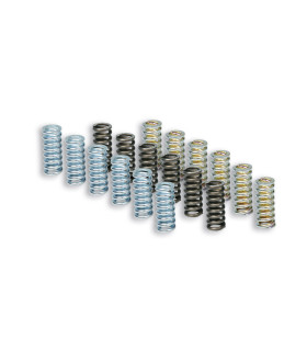 Muelles Embrague Malossi Piaggio Beverly HPE 400
