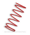 Muelle Polea Conducida Rojo Piaggio Zip