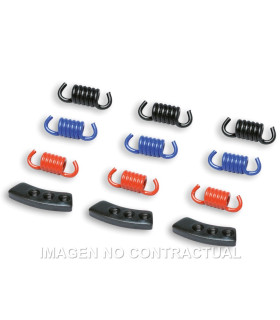 Muelles Embrague Delta Clutch Malossi MHR