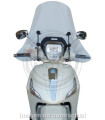 Pantalla Fabbri Exclusive Piaggio Beverly RST 4T 4V 125