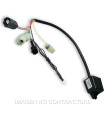 Centralita Emulador lambda Malossi Honda SH 300