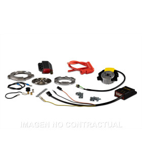 ENCENDIDO ROTOR INTERNO MALOSSI MHR TEAM II MINAR