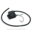 BOBINA ALTA MALOSSI ENCENDIDO 5514691 - 5515001