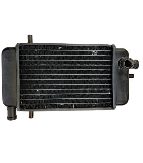 Radiador RST 80 Sport Malaguti