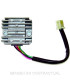 Regulador 12V/15A - Monofase - CC - 5 Cables