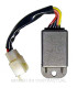 Regulador Monofase 12V/CC - 5 cables con Fastons Mini