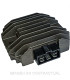 Regulador SUN 12V/20A - Trifase - CC - 6 fastoms (5 activos)