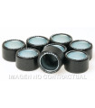 RODILLOS MALOSSI HTROLL 25X17 20 GR