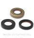 JUEGO RETEN ACEITE FKM/PTFE MALOSSI MINARELLI AM6