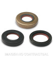 JUEGO RETEN ACEITE FKM/PTFE MALOSSI MINARELLI AM6