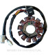 Stator Ducati 12 Polos con pick-up 2 cables 140W (Motor Aprilia 50 DI-TECH)