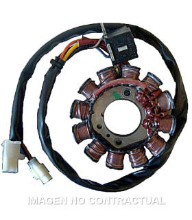 Stator Ducati 12 Polos con pick-up 2 cables 140W (Motor Aprilia 50 DI-TECH)