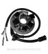 Stator Ducati 6 polos Piaggio Vespa PK 50