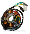 Stator Ducati 6 polos Derbi Senda Black Edition, DRD 50