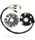 Stator Kokusan 6 Polos 12V 100W Motor Minarelli 50 AM6/AM345