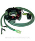 Stator 6 Polos 12V 90W (Motor Piaggio 50 2T)
