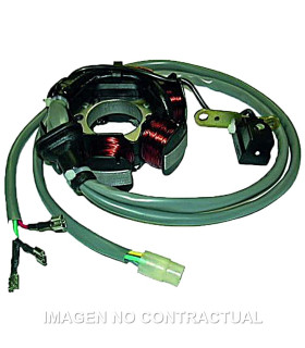 Stator 6 Polos 12V 90W (Motor Piaggio 50 2T)