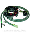 Stator 6 Polos 12V 90W (Motor Piaggio 50 2T)