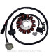 Stator Kokusan Trifase 12 Polos 12V 150W (Motor Piaggio Leader 125 4T I 2V)