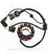 Stator Kokusan Trifase 12 polos Vespa Iget