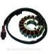 Stator Kokusan 18 Polos 12V 370W (Mot. Piaggio Master 400/500 4T)