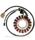 Stator Mitsubishi Trifase 18 polos Suzuki Burgman 650