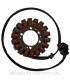 STATOR MITSUBISHI TRIFASE 18 POLOS KAWASAKI Z 1000 SX (11/16)