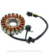 Stator SGR 18 polos con pick up Suzuki Burgman 400