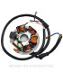 Stator SGR 6 polos Vespa Primavera ET3