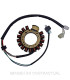 Stator SGR Yamaha YFM 350
