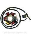Stator SGR 6 Polos con pick up 130W Peugeot 50