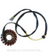 Stator SGR Trifase 18 polos Suzuki GSX 750