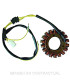 Stator SGR Trifase 18 polos Yamaha Virago SIN PICK-UP