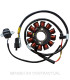 Stator SGR 12 Polos con pick-up (Motor Kymco 125/200 4T Carburador - Aire)
