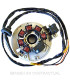 Stator SGR 7 Polos (Motor Minarelli/Yamaha 50 2T)