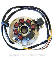 Stator SGR 7 Polos (Motor Minarelli/Yamaha 50 2T)