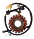 Stator SGR Trifase 18 Polos con pick-up 2 cables