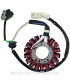 Stator SGR 18 Polos 12V 200W (Motor Yamaha 250 4T)