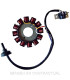 Stator SGR 12 Polos con pick-up 2 cables (Motor Yamaha 50 2T Euro 2)